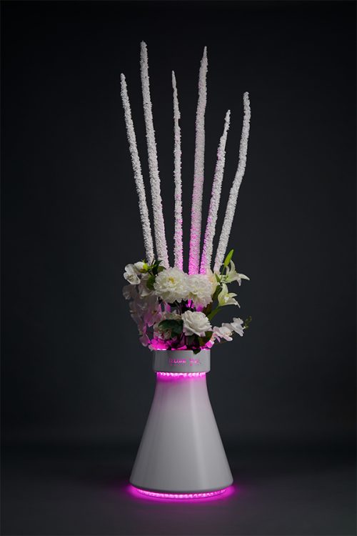 Bespoke Illuminated Fibreglass Vases